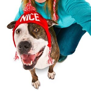 Time for Joy Reversible “Naughty & Nice” Dog Hat🐶